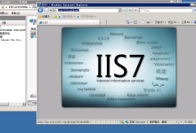 Windows 2008系统在IIS7中开启TLS1.2-自由阿草